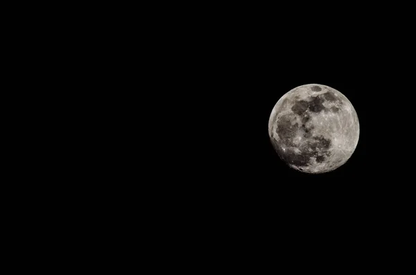 Full Moon 2014 — Stockfoto