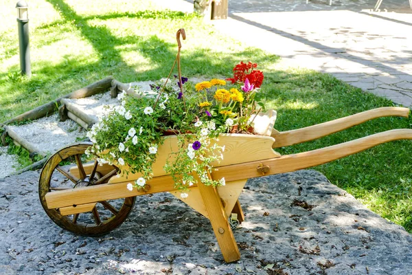 Dekorative Holzschubkarre Mit Blumen Grünen Gras — Stockfoto