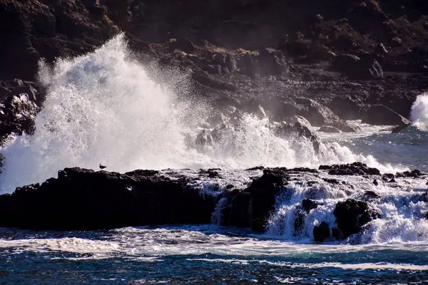 Fotografie Pohled Krásné Pobřeží Oceánu — Stock fotografie