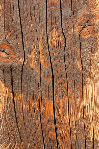 Foto Della Bella Texture Legno Sfondo — Foto Stock