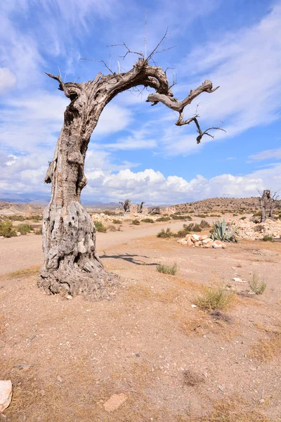 Вид Пустыню Табернас Провинции Альмерия Испании — стоковое фото