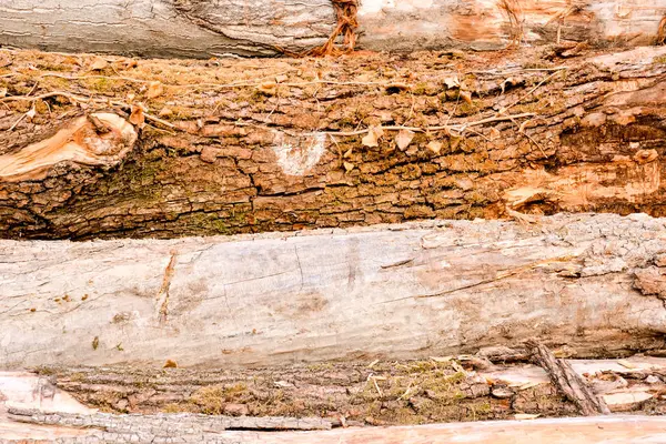 美丽的木制背景图 — 图库照片