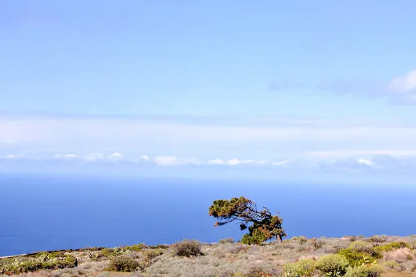 Landschap Van Hierro Eiland Canarische Eilanden Spanje — Stockfoto