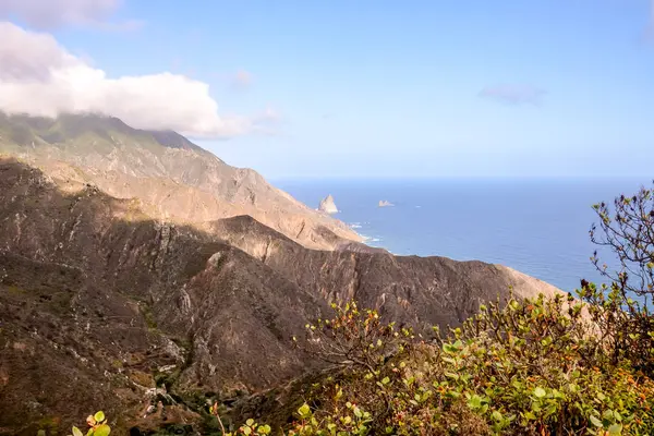 Vedere Muntoasă Anaga Din Mirador Cabezo Del Tejo Tenerife Insula — Fotografie, imagine de stoc