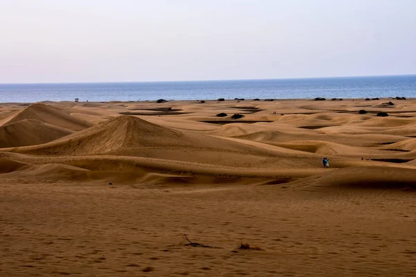 Desert Sand Dunes Maspalomas Gran Canaria Spain — Stock Photo, Image