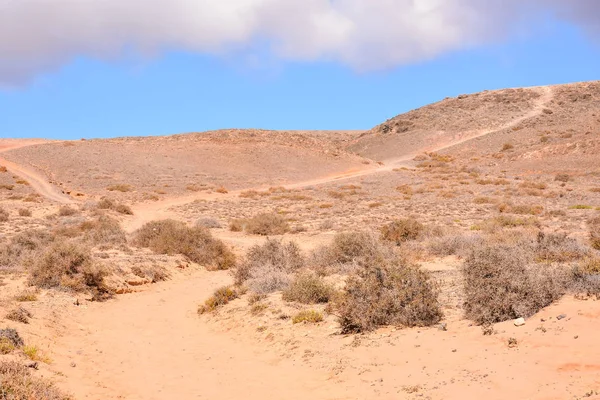 Spaans Uitzicht Landschap Papagayo Playa Blanca Lanzarote Tropische Vulkanische Canarische — Stockfoto