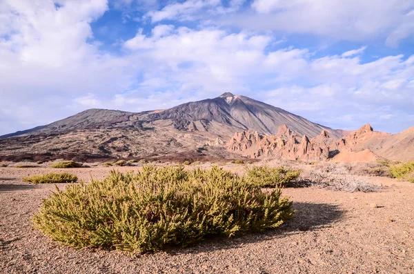 Tenerife Deki Teide Ulusal Parkı Kanarya Adaları — Stok fotoğraf