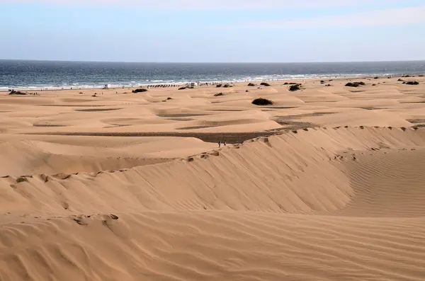 Dune Sabbia Nel Deserto Maspalomas Isola Gran Canaria Spagna — Foto Stock