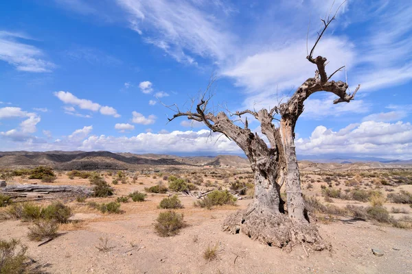 Veduta Delle Tabernacoli Del Deserto Nella Provincia Almeria Spagna — Foto Stock