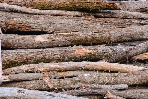 Foto Bild Der Schönen Holz Hintergrund Textur — Stockfoto