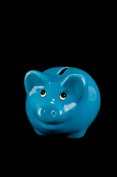 Blue piggy bank or money box isolated — Stock Photo, Image