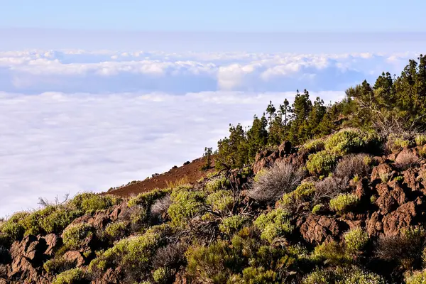 Mar de nubes — Stockfoto