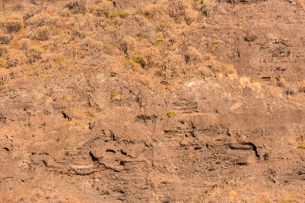Dry Lava Basaltic Rock — Stock Photo, Image