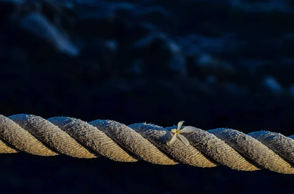 Picture Old Vintage Naval Rope — Stock Photo, Image