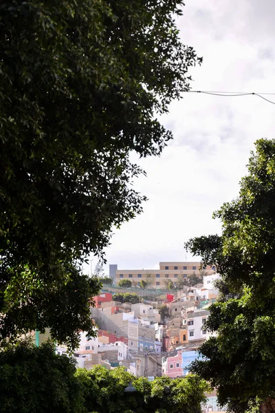 Färgade Modern byggnad Windows i Las Palmas — Stockfoto