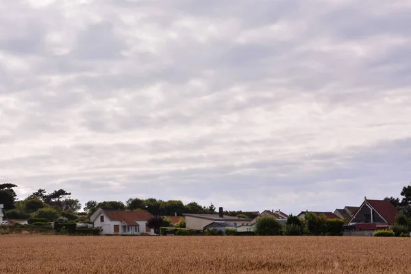 Campagne naturelle européenne — Photo