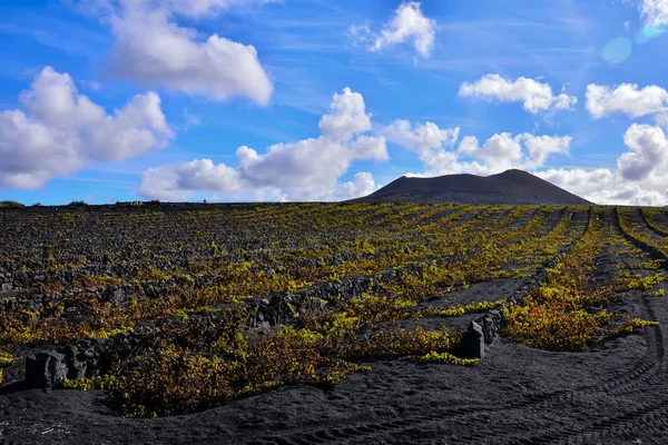 İspanya Tropikal Volkanik Kanarya Adaları 'ndaki manzara — Stok fotoğraf