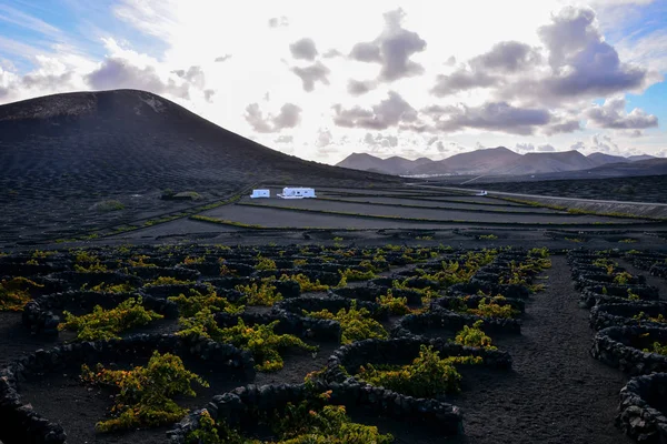 Landskap på tropiske vulkanske Kanariøyer Spania – stockfoto