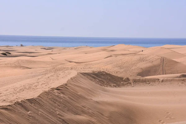Deserto con dune di sabbia a Gran Canaria Spagna — Foto Stock