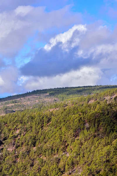 Tenerfe热带火山加那利群岛的景观 — 图库照片