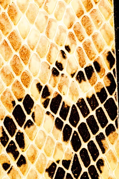 Pele de cobra padrão de fundo — Fotografia de Stock