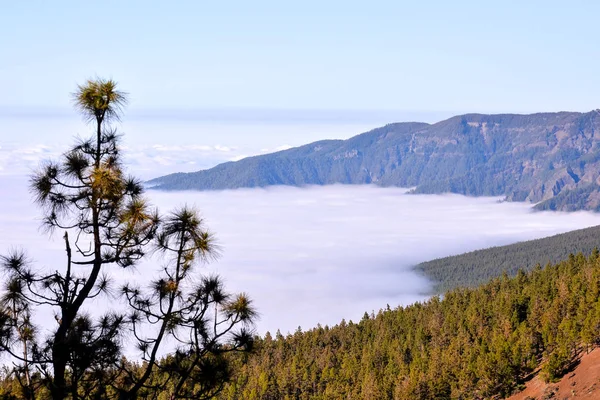 Mar Nubes Nube Mar Las Altas Montañas Fenómeno Tenerife Islas —  Fotos de Stock