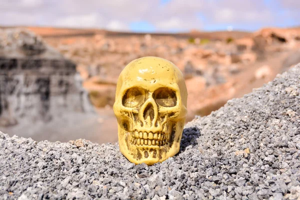 Foto Conceitual Objeto Crânio Humano Deserto Seco — Fotografia de Stock