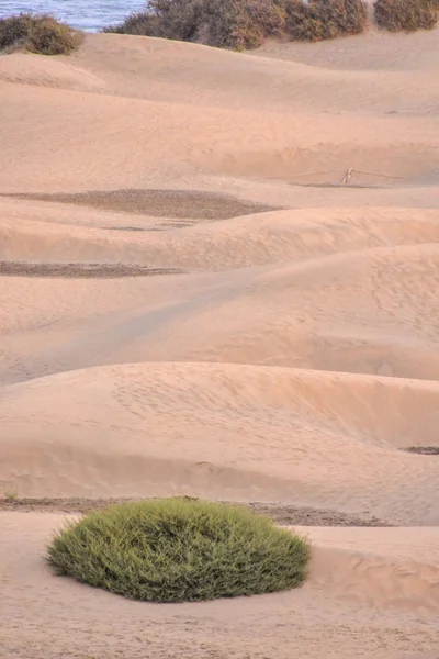 Deserto Com Dunas Areia Maspalomas Gran Canaria Espanha — Fotografia de Stock