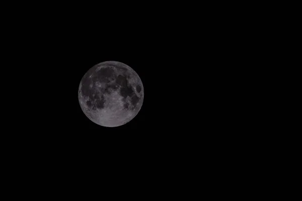 Photo Picture Moon Night Sky — Stock Photo, Image