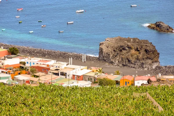 Campo Plantación Plátanos Las Islas Canarias — Foto de Stock