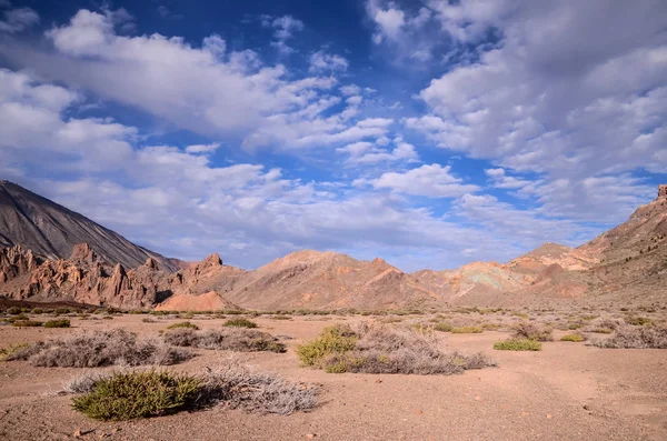 Nationaalpark Teide — Stockfoto