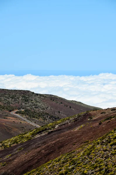 Vysoká Mračna Nad Lesem Borovicových Stromů Ostrově Tenerife — Stock fotografie
