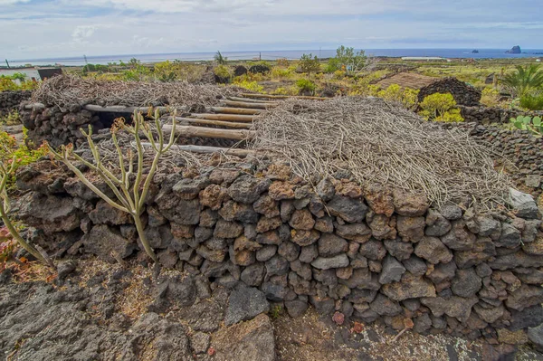 Casas abandonadas en Isla El Hierro —  Fotos de Stock