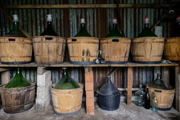 Kuzey Talya Üzüm Mahsulü Şarap Için Kırmızı Üzüm — Stok fotoğraf