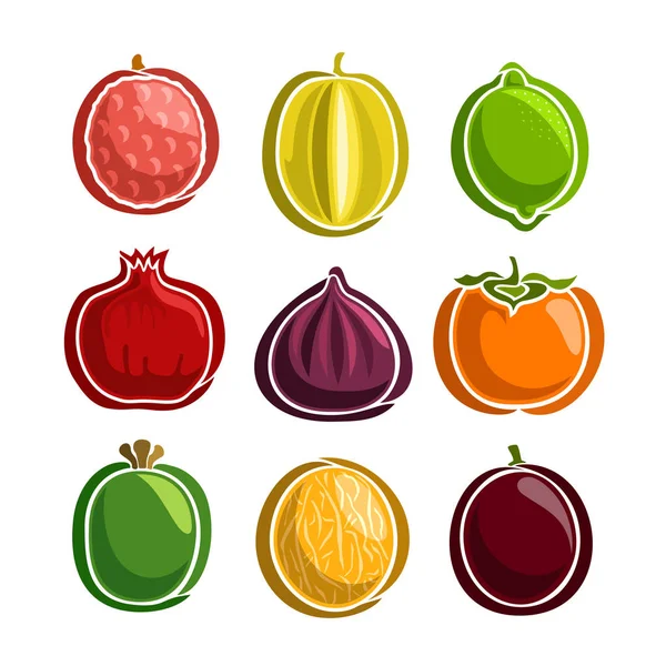 Ensemble vectoriel d'icônes de fruits colorés — Image vectorielle