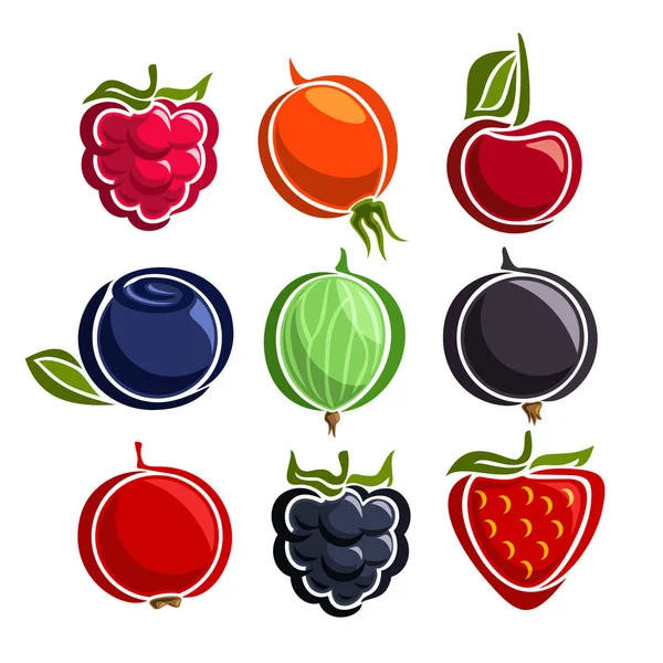 Vector Set colorful Berries icons — Stock Vector