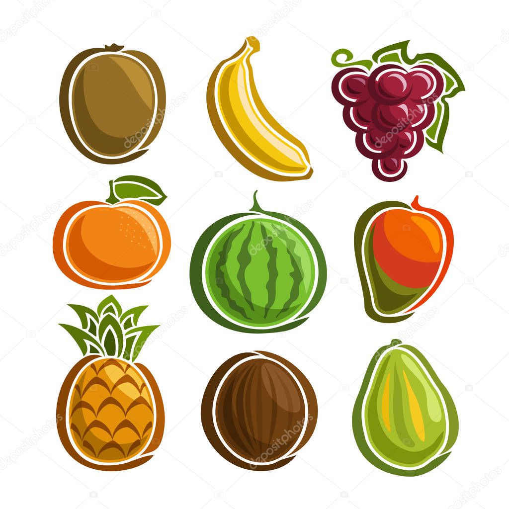 Vector Set colorful Fruits icons: kiwi, banana, grape, mandarin, watermelon, mango, pineapple, coconut, papaya; collection set of abstract simple fruit logo or icon, isolated on white background.