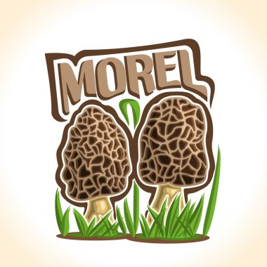 Vektör logo Morel mantar