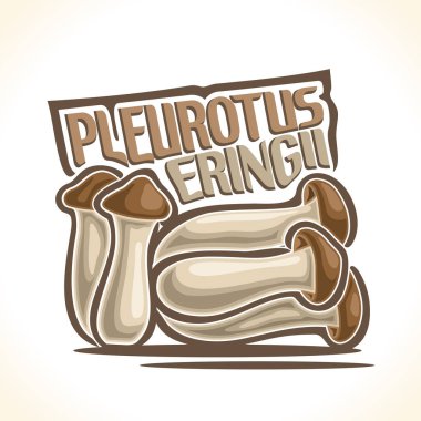 Vektör logo kavak Eryngii mantar