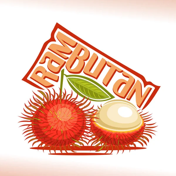 Vektor Logo Rambutan Frucht — Stockvektor