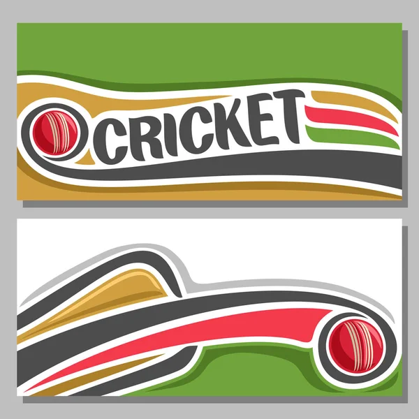 クリケットの試合のベクトルの水平方向のバナー — ストックベクタ
