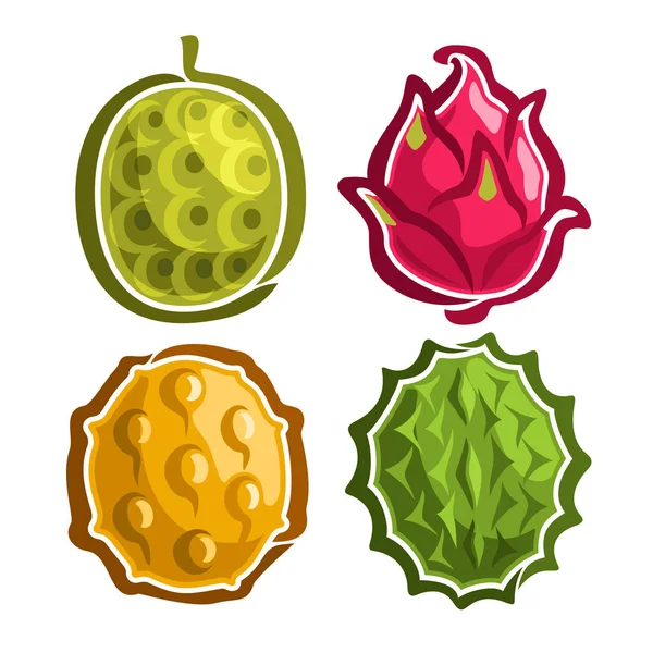 Vektor megadása ikonok a színes egzotikus gyümölcsök — Stock Vector