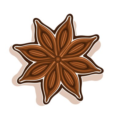 Yıldız anason vektör simgesi