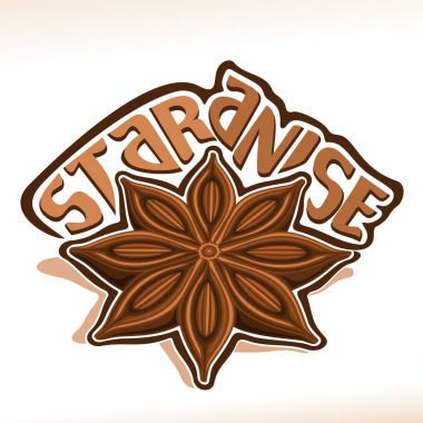 Yıldız anason için vektör logo