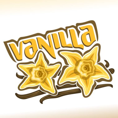 Vanilya için vektör logo