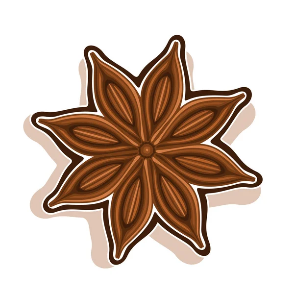 Yıldız anason vektör simgesi