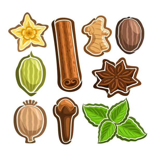 Vector Set ikoner för kulinariska kryddor — Stock vektor