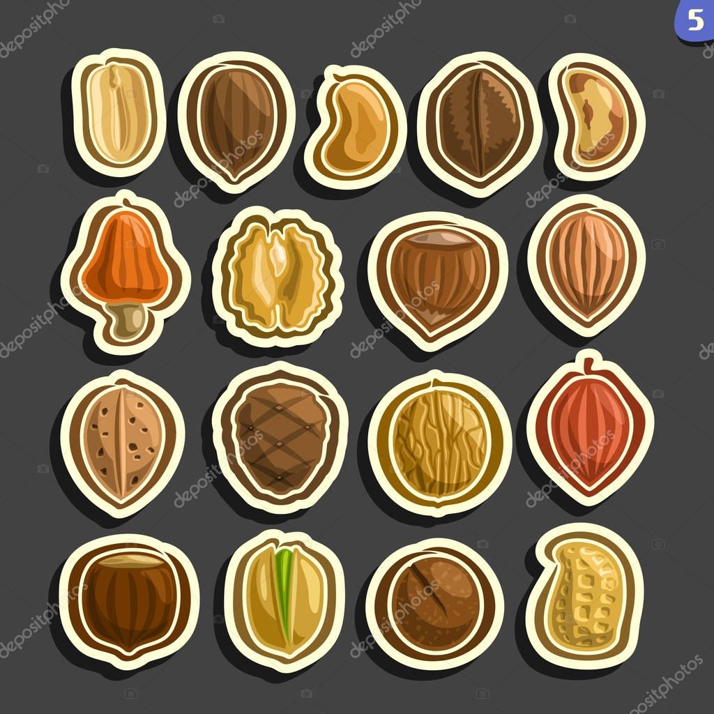 Vector Set of Nuts icons: 17 minimal abstract labels of nuts fruit isolated on black background, set of cartoon simple stickers nut in nutshell for packing, tags for raw organic food graphic pictogram