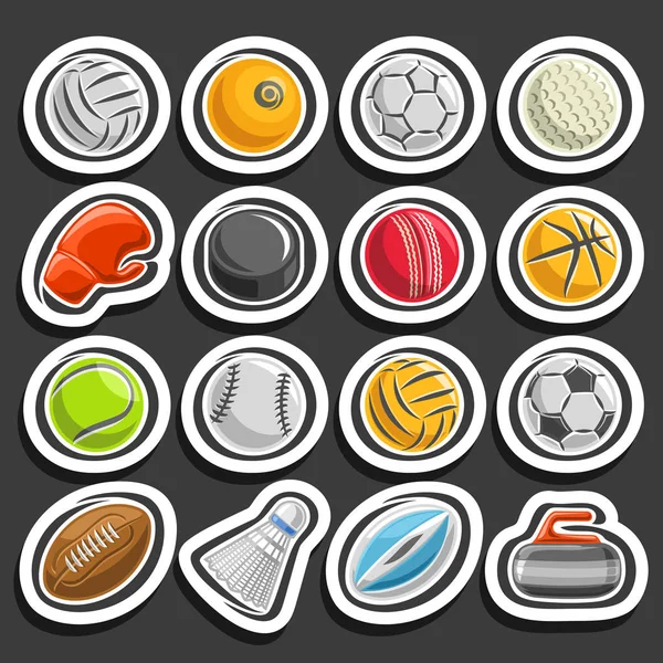 Vector conjunto de bolas deportivas — Vector de stock