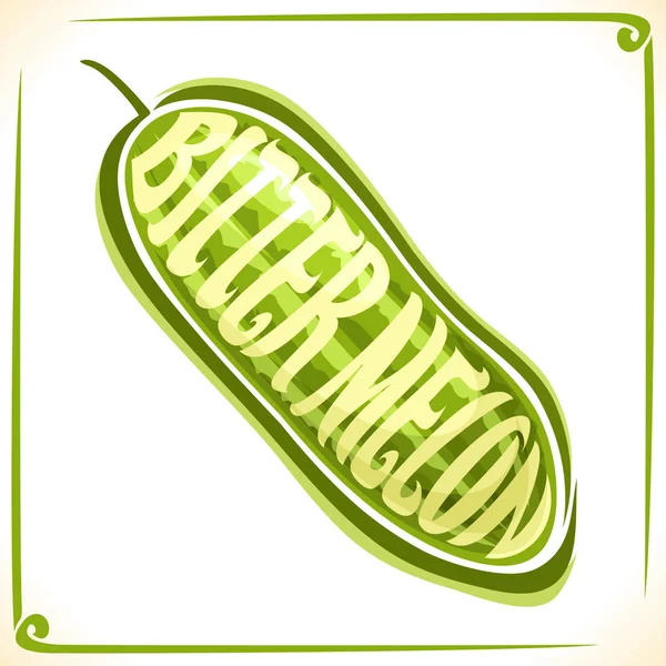 Logo vectoriel pour Melon amer — Image vectorielle